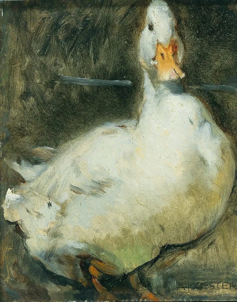 Duck