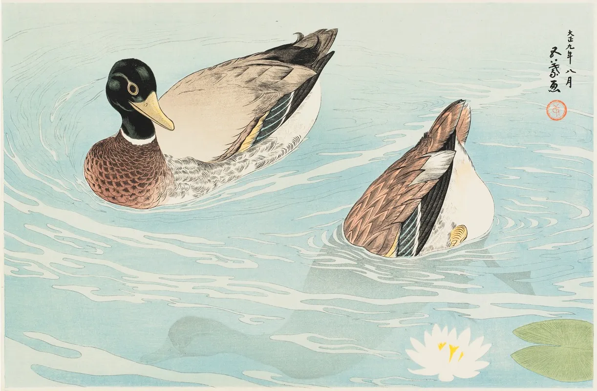 Ducks 10