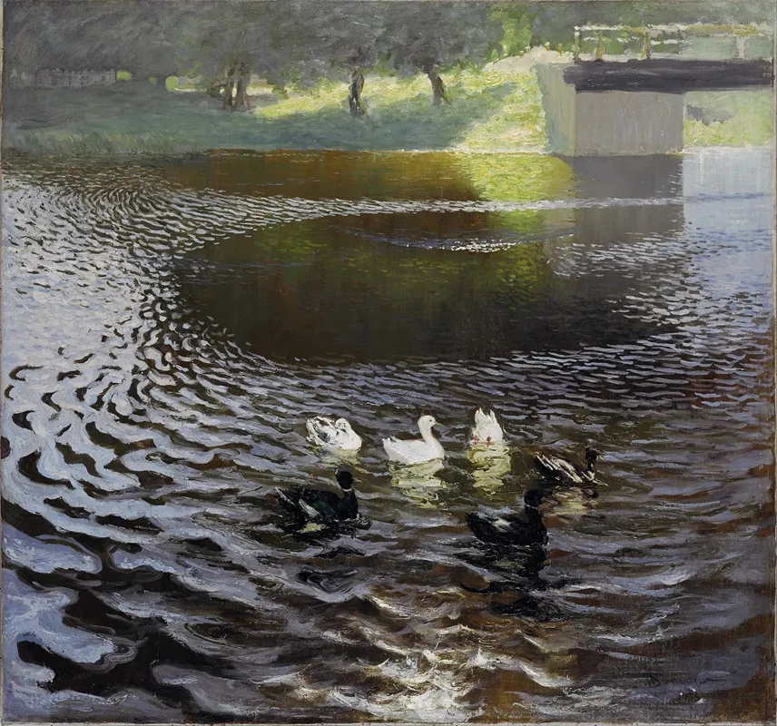 Ducks 5