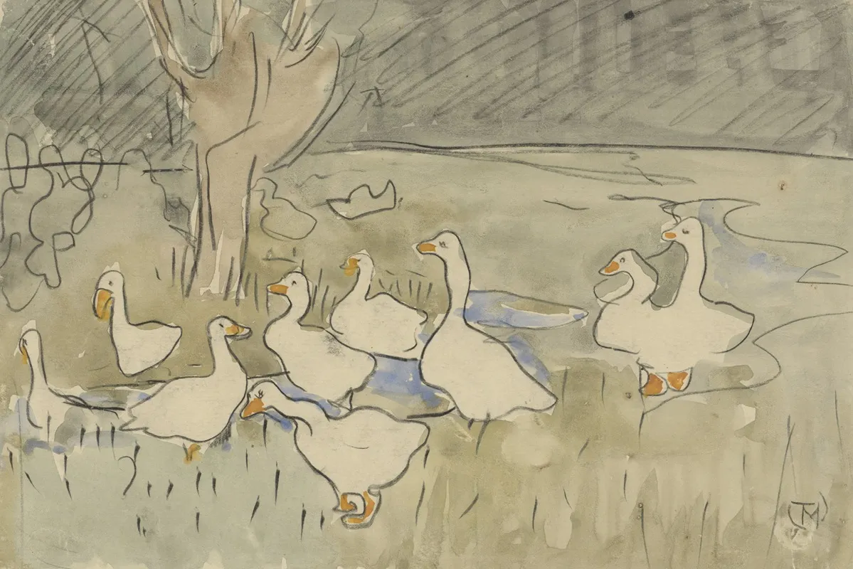 Ducks 8