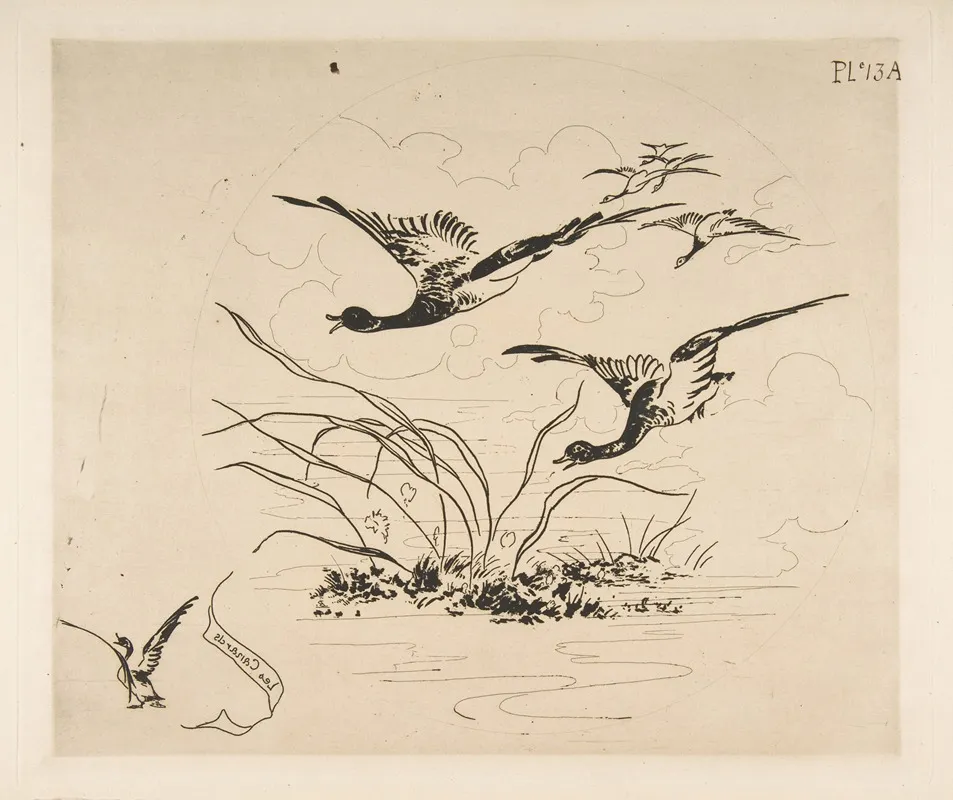 Ducks 9
