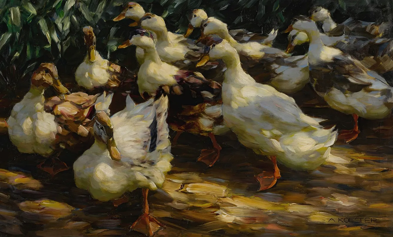 Ducks In Sunlight
