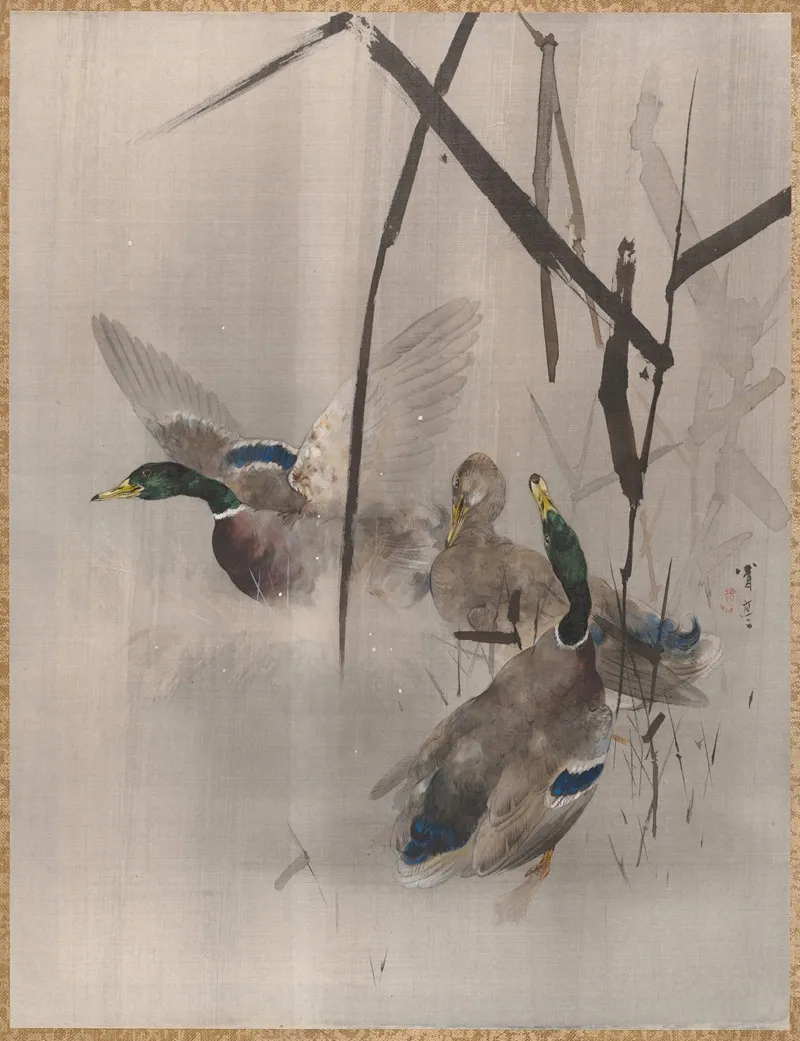 Ducks In The Rushes
