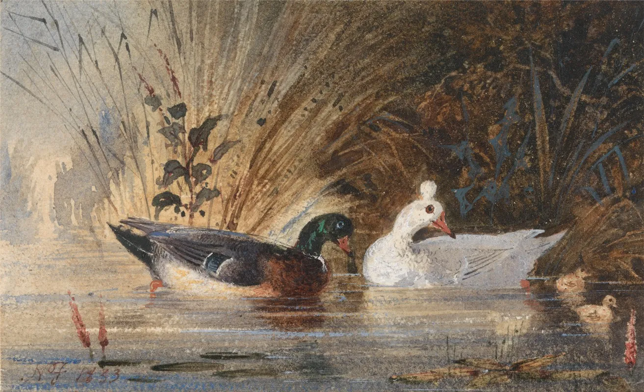 Ducks On A Pond 2 Wall Art by Newton Limbird Smith Fielding - High-Resolution Digital Print