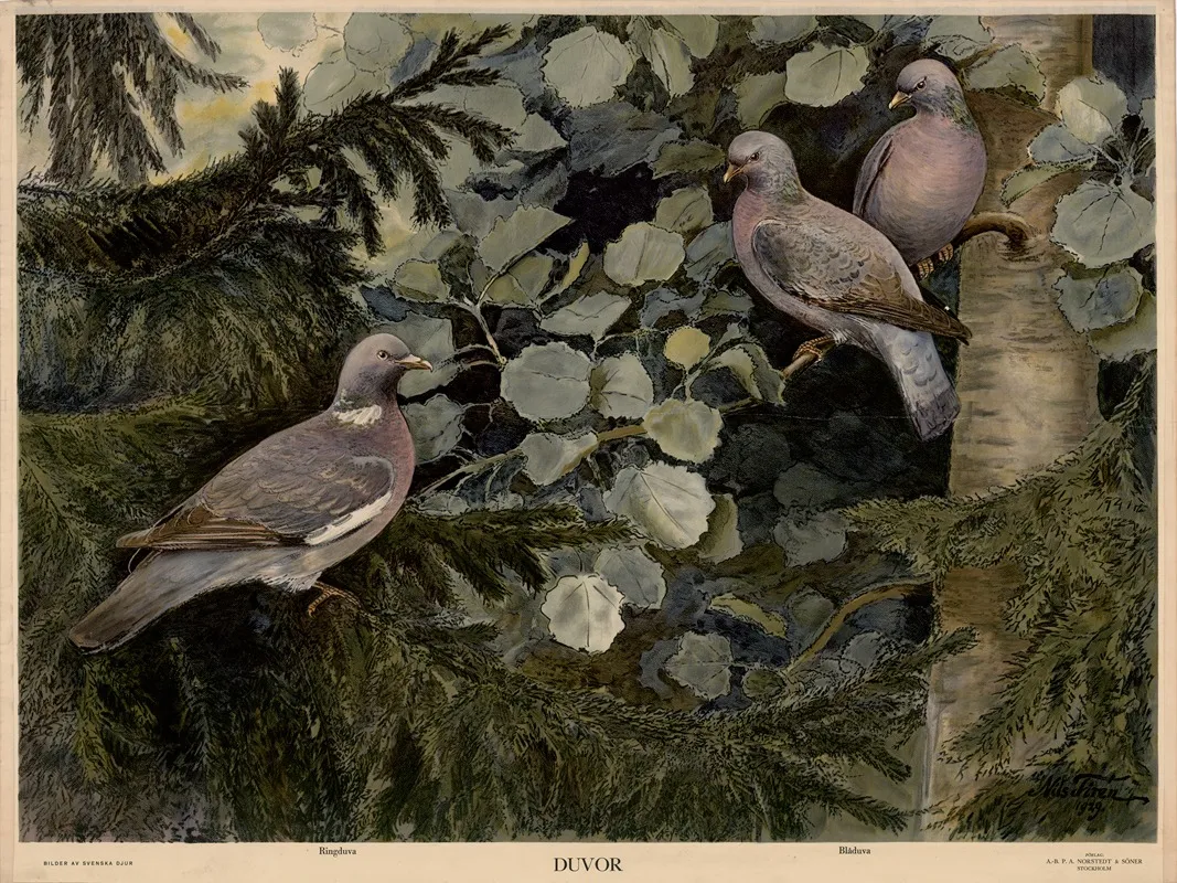 Duvor Wall Art by Nils Tirén - High-Resolution Digital Print