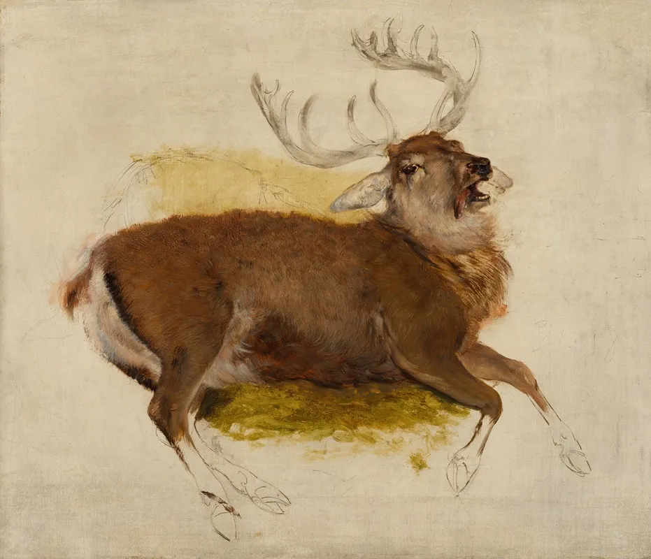 Dying Stag