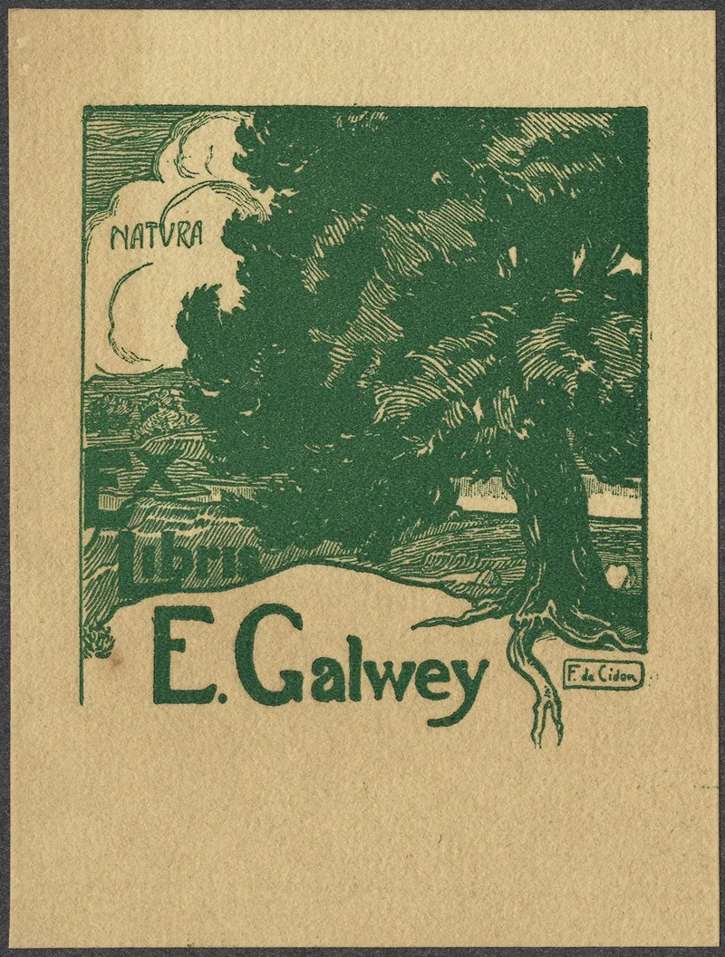 E Galwey Wall Art by Francisco de Cidón Navarro - High-Resolution Digital Print