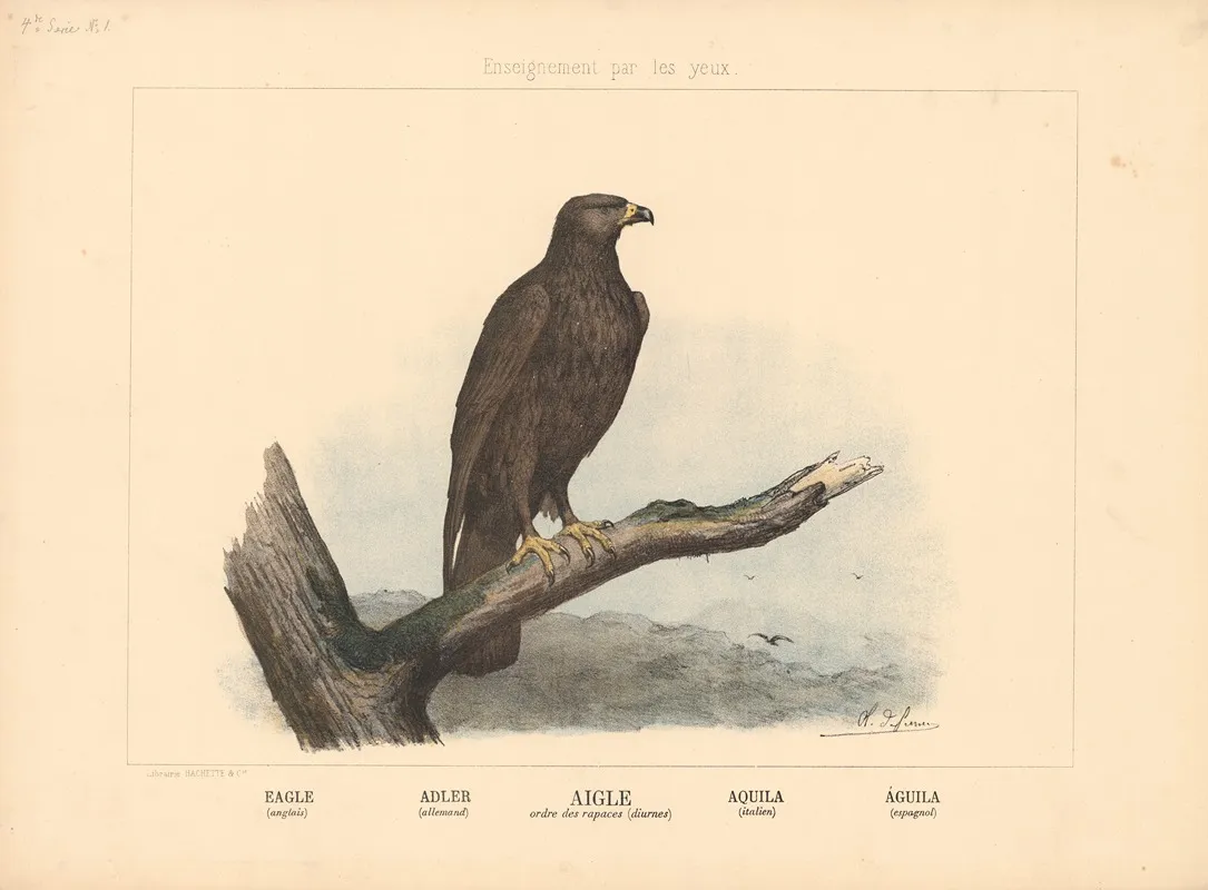 Eagle 4