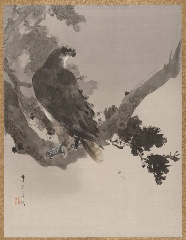 Eagle In A Tree