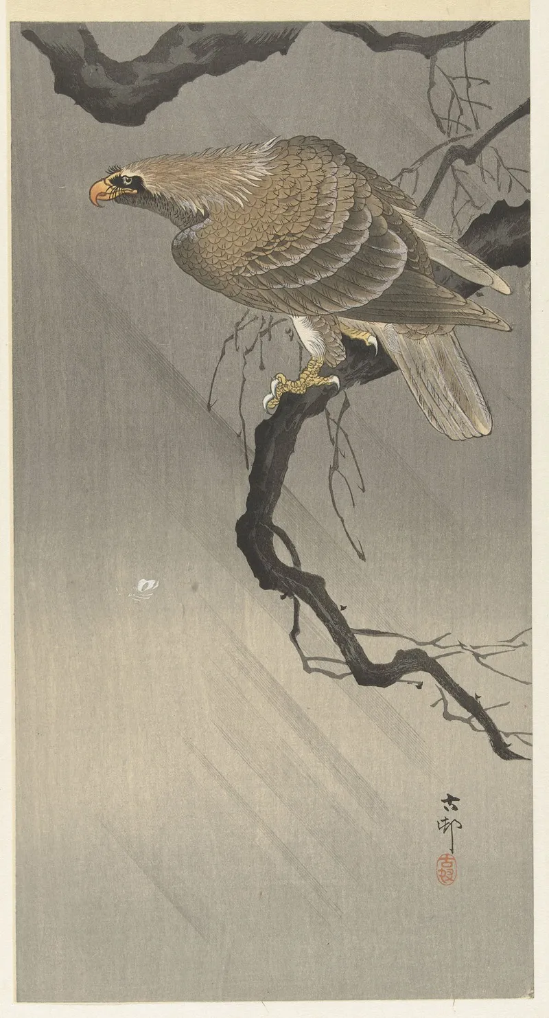 Eagle On Branch