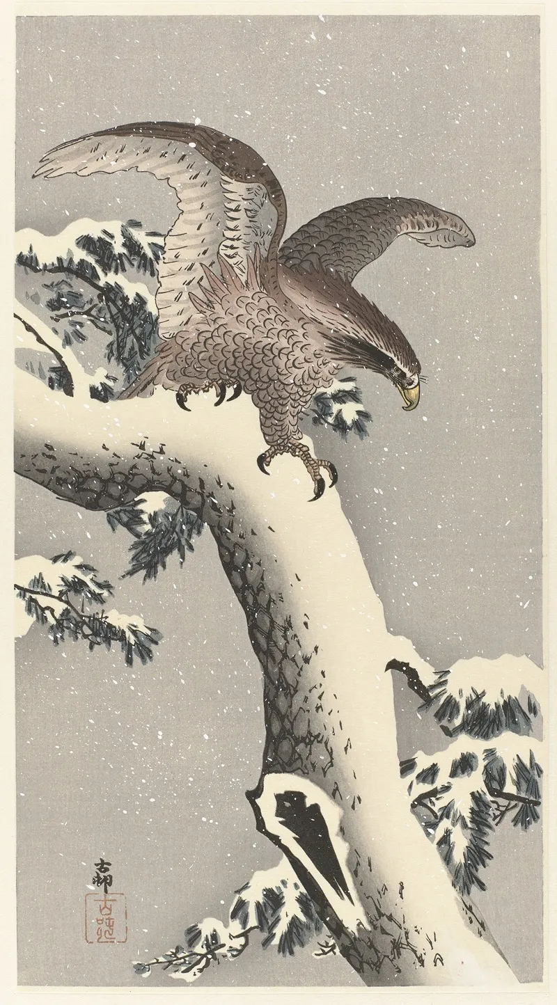 Eagle On Snowy Pine Tree