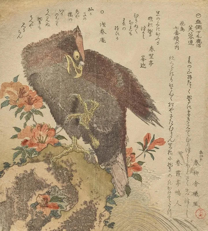 Eagle With An Upraised Claw On A Rock By An Azalea Bush