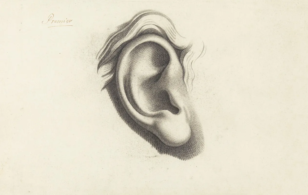 Ear Wall Art by Albert Voituron - High-Resolution Digital Print