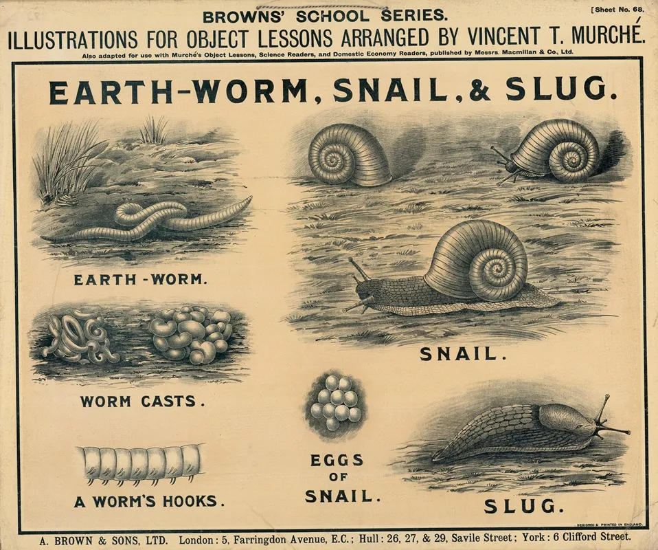 Earth Worm Snail Slug Wall Art by Vincent T. Murché - High-Resolution Digital Print