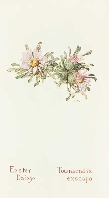 Easter Daisy Wall Art by Margaret Armstrong - High-Resolution Digital Print
