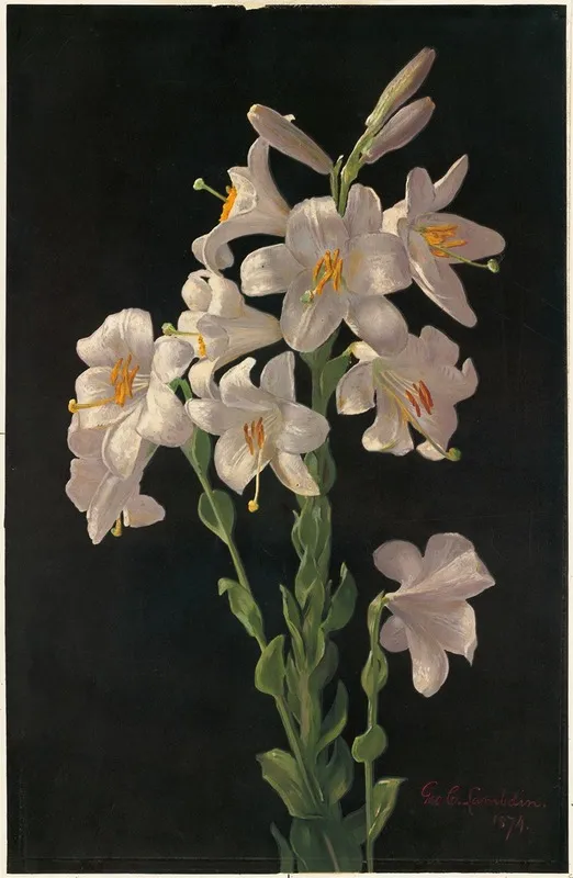 Easter Lily Wall Art by George Cochran Lambdin - High-Resolution Digital Print