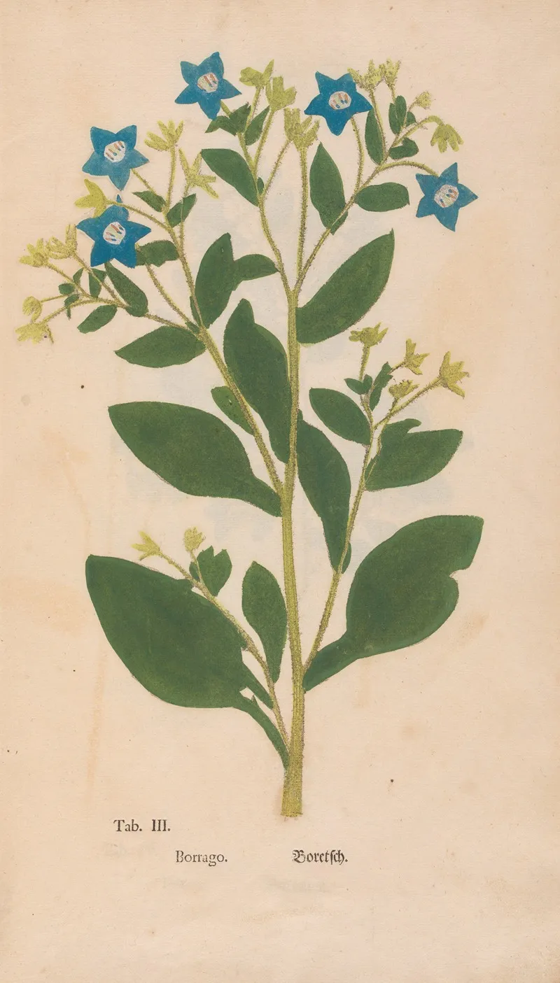 Ectypa Vegetabilium Pl 003 Wall Art by Christian Gottlieb Ludwig - High-Resolution Digital Print