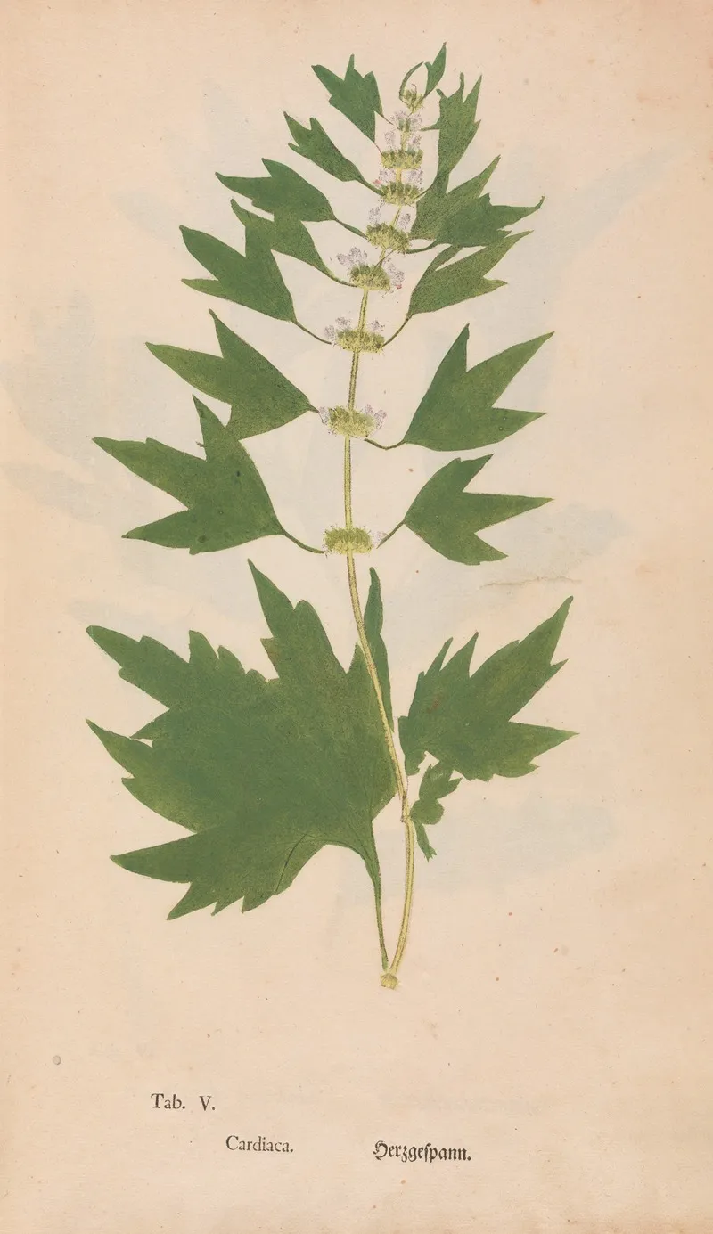 Ectypa Vegetabilium Pl 005 Wall Art by Christian Gottlieb Ludwig - High-Resolution Digital Print