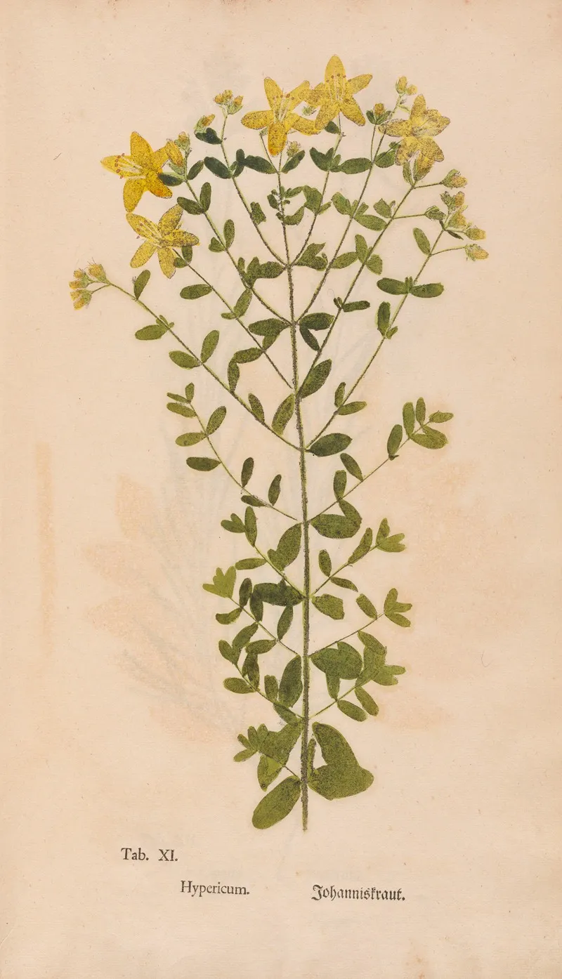 Ectypa Vegetabilium Pl 011 Wall Art by Christian Gottlieb Ludwig - High-Resolution Digital Print