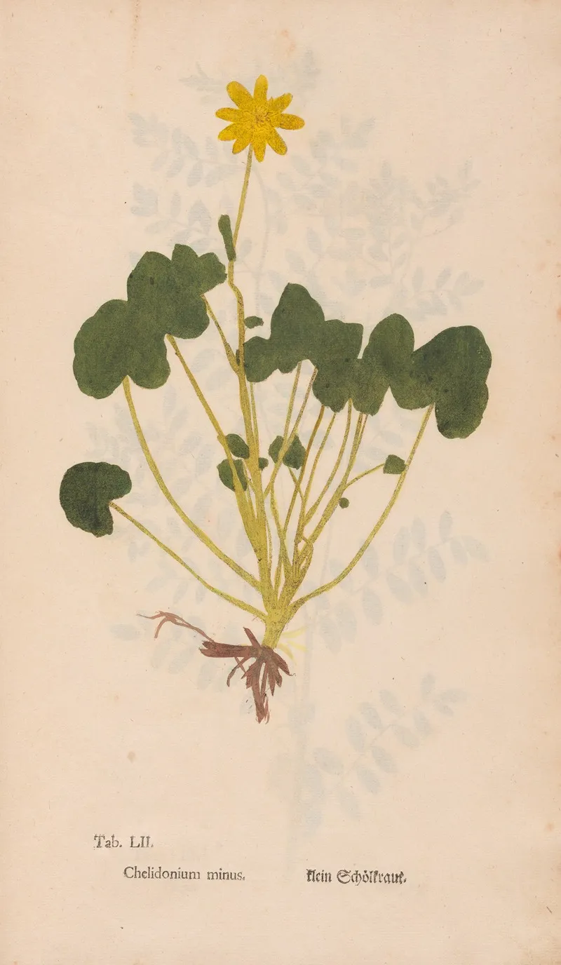Ectypa Vegetabilium Pl 052 Wall Art by Christian Gottlieb Ludwig - High-Resolution Digital Print