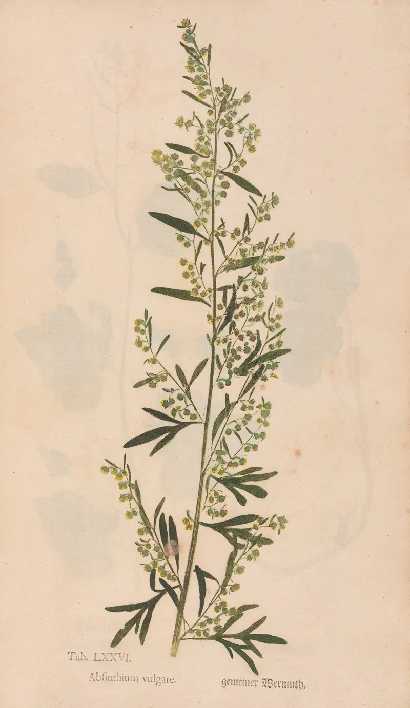 Ectypa Vegetabilium Pl 076 Wall Art by Christian Gottlieb Ludwig - High-Resolution Digital Print