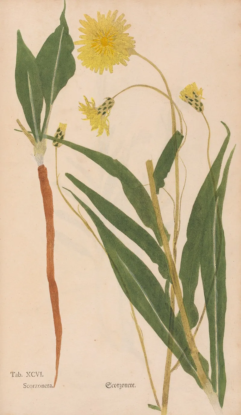 Ectypa Vegetabilium Pl 096 Wall Art by Christian Gottlieb Ludwig - High-Resolution Digital Print