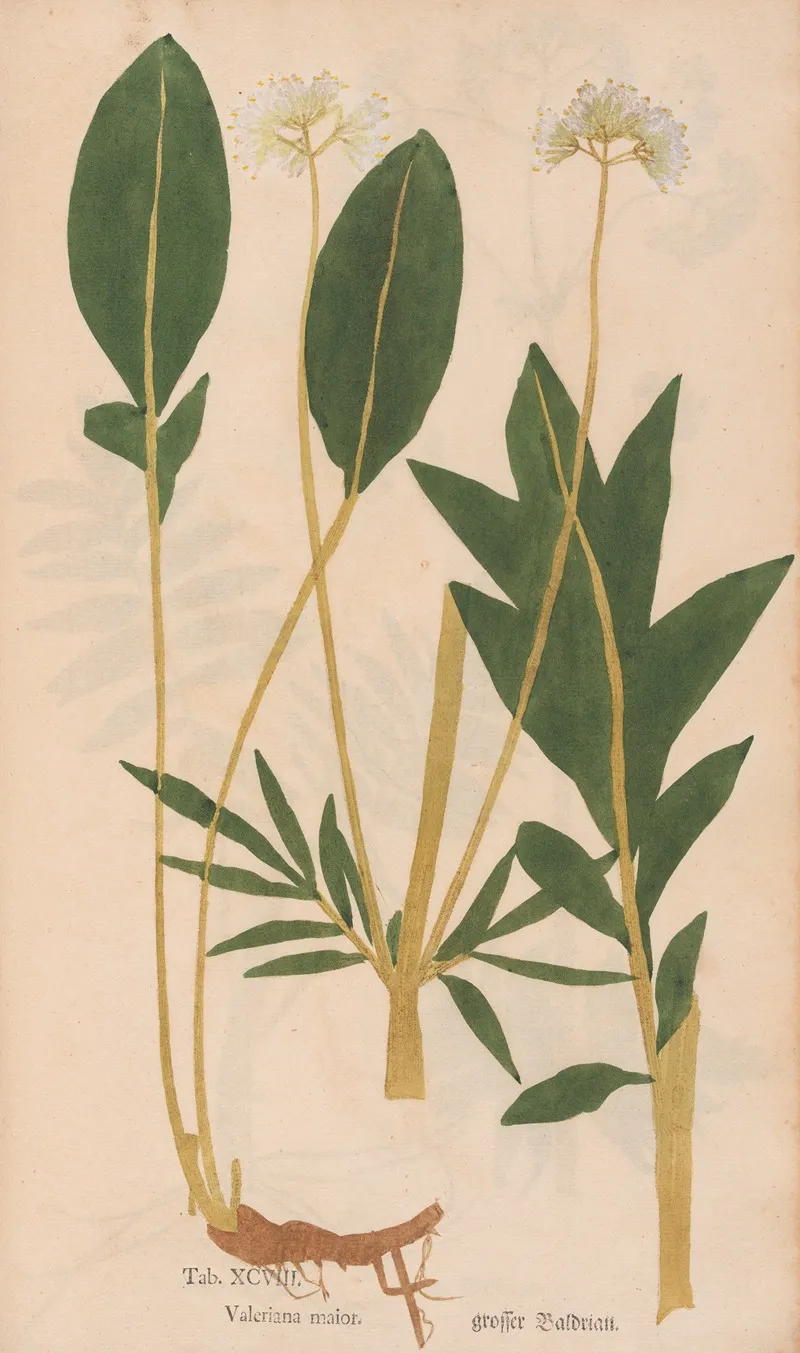 Ectypa Vegetabilium Pl 098 Wall Art by Christian Gottlieb Ludwig - High-Resolution Digital Print