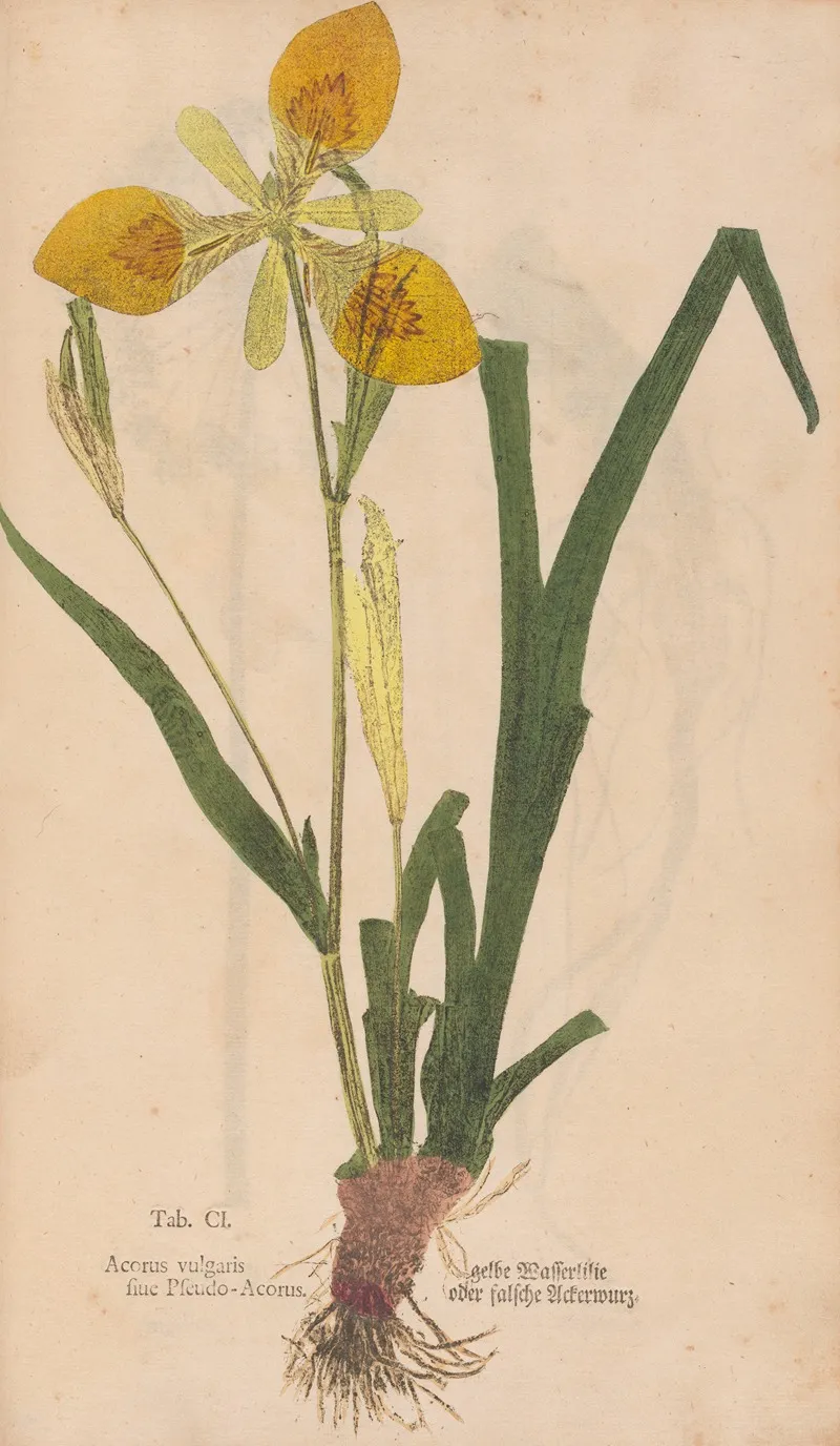 Ectypa Vegetabilium Pl 101 Wall Art by Christian Gottlieb Ludwig - High-Resolution Digital Print