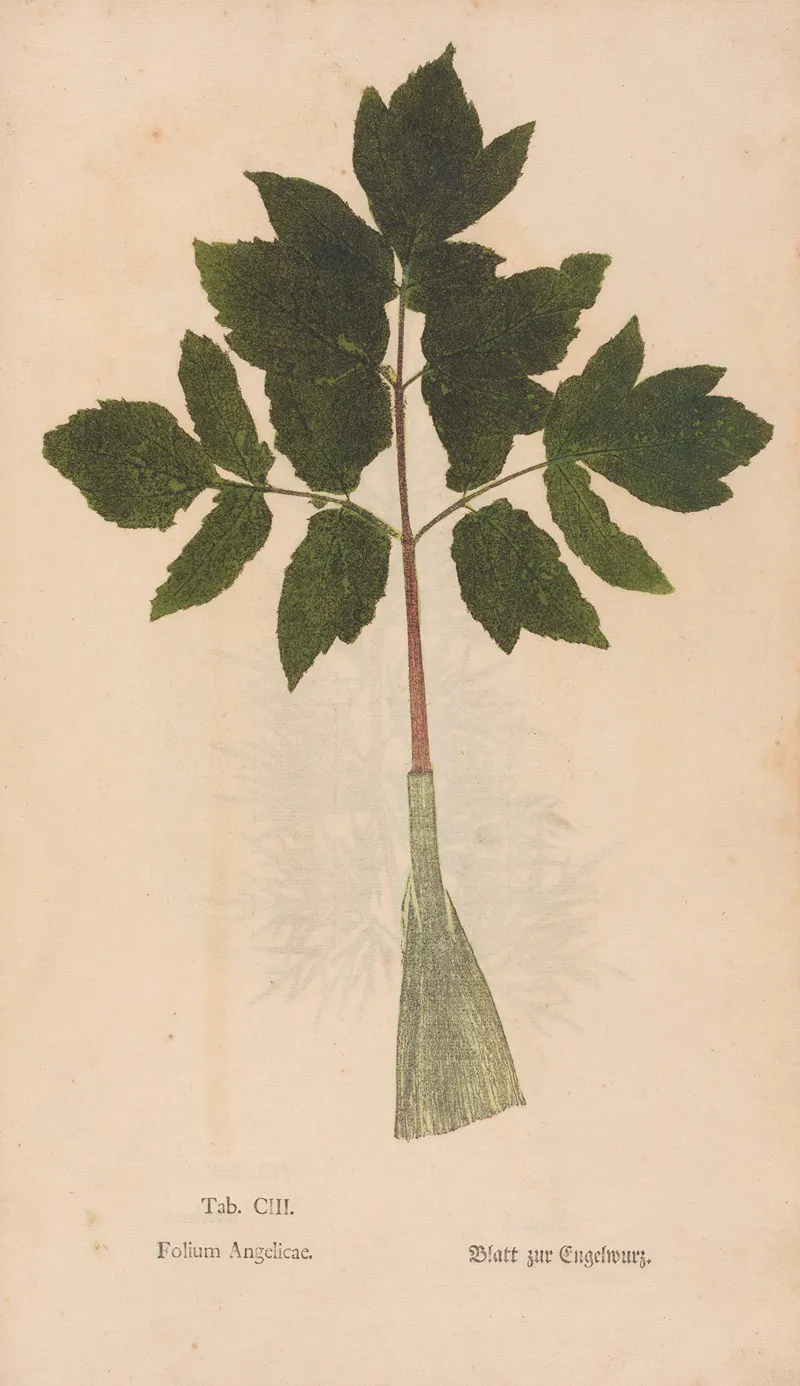 Ectypa Vegetabilium Pl 103 Wall Art by Christian Gottlieb Ludwig - High-Resolution Digital Print