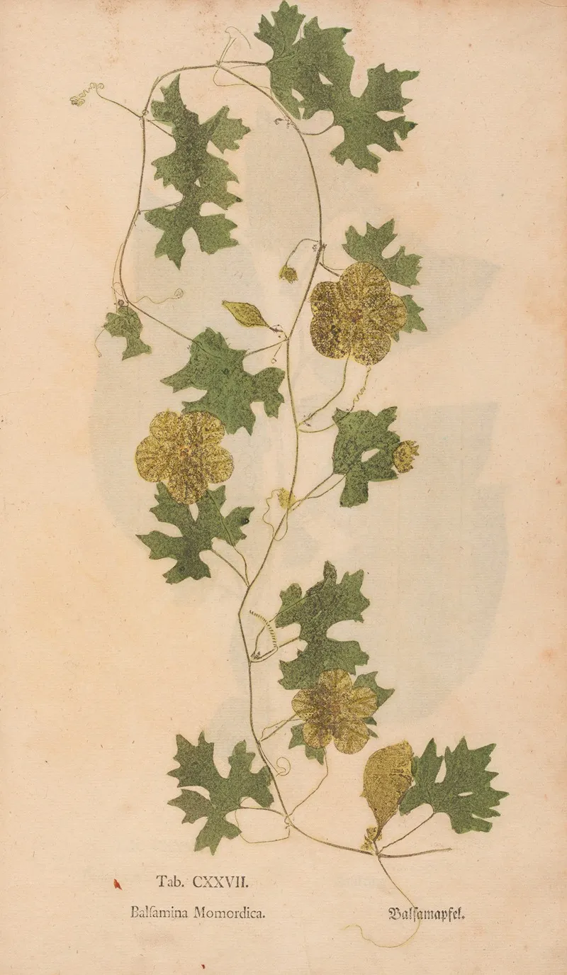 Ectypa Vegetabilium Pl 127 Wall Art by Christian Gottlieb Ludwig - High-Resolution Digital Print