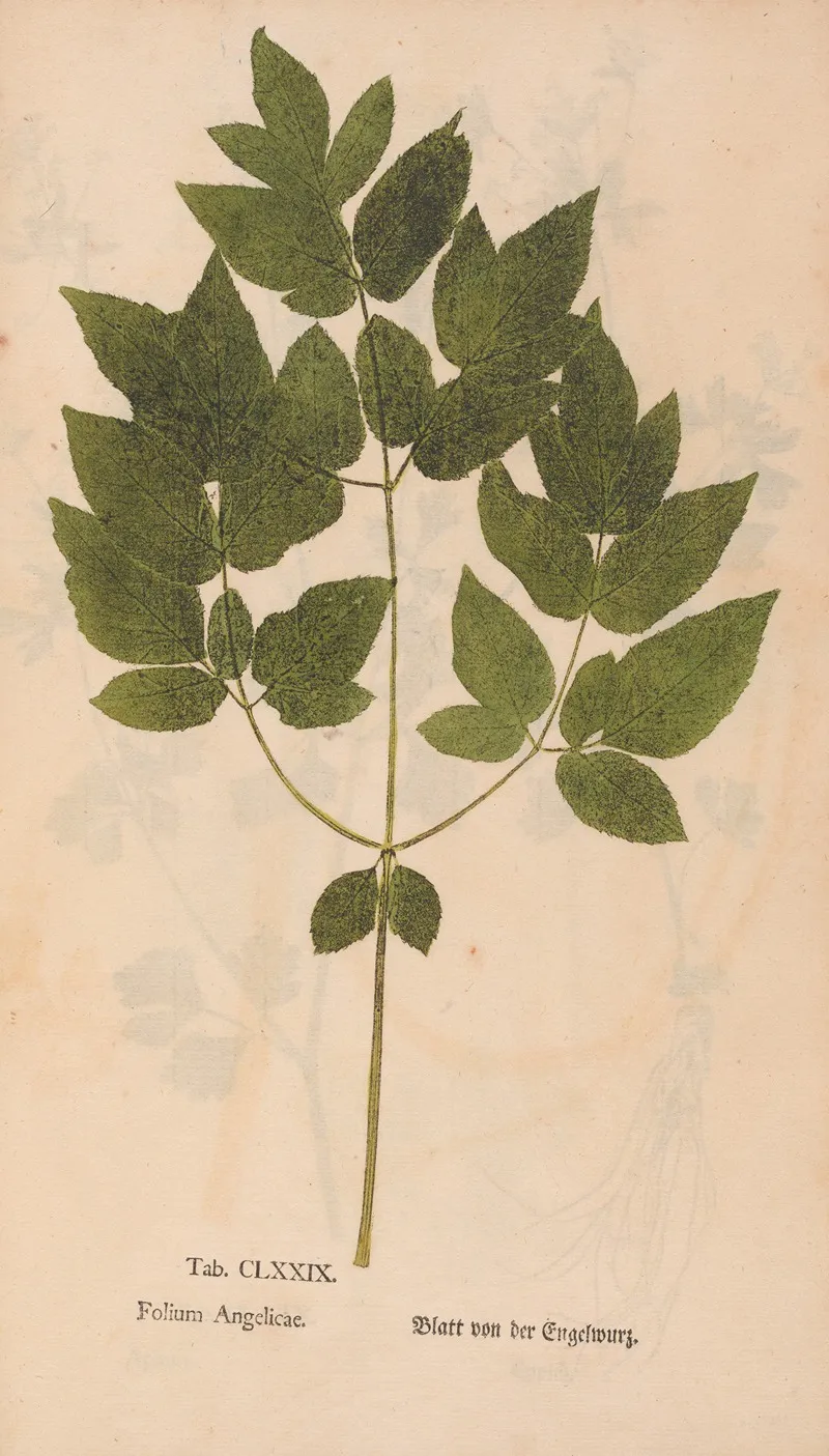 Ectypa Vegetabilium Pl 179 Wall Art by Christian Gottlieb Ludwig - High-Resolution Digital Print