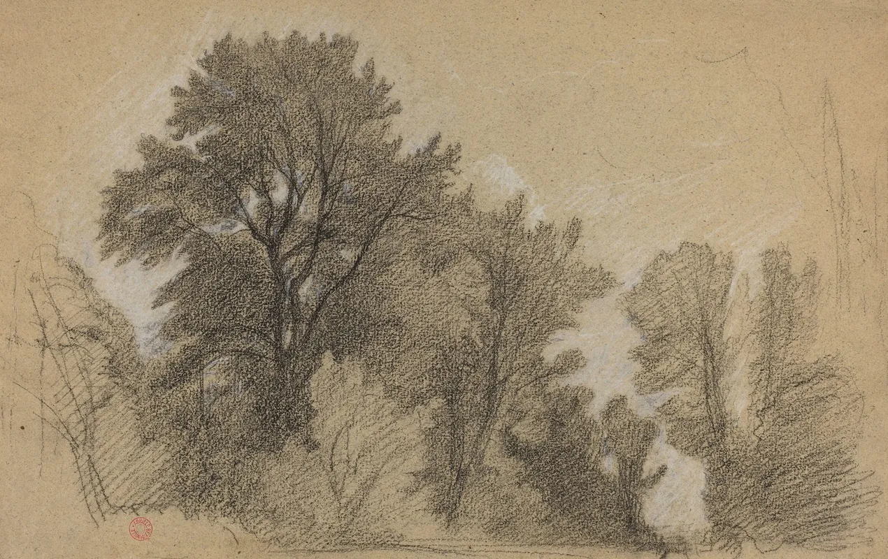 Edge Of A Wood