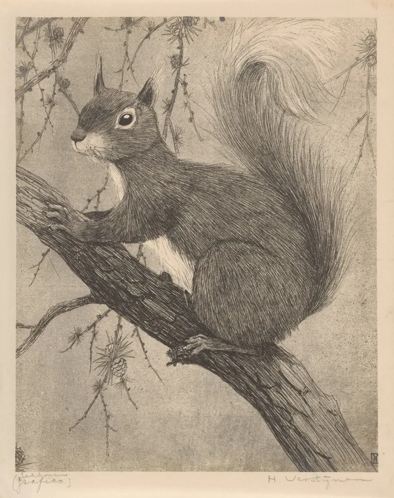 Eekhoorn
