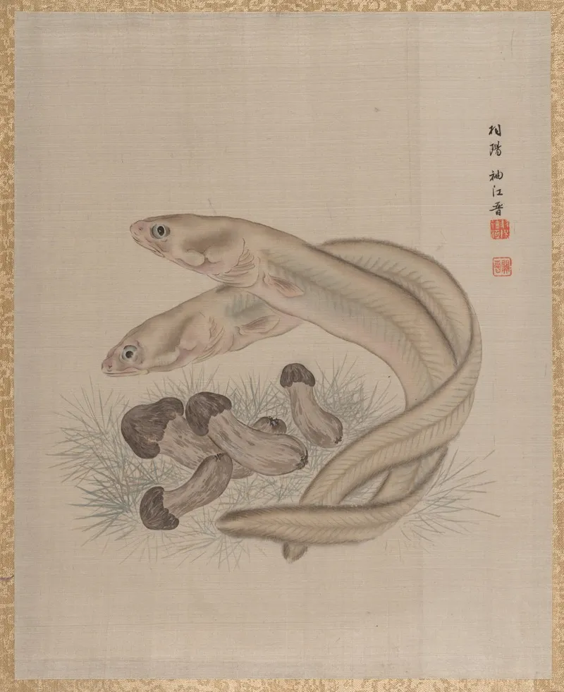 Eels