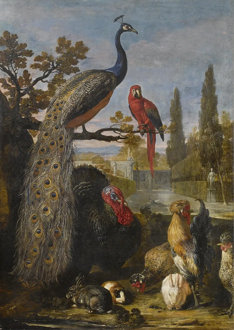 Een Pauw Een Papegaai Kalkoenen Hanen Konijnen En Een Cavia In Een Park Wall Art by David de Coninck - High-Resolution Digital Print