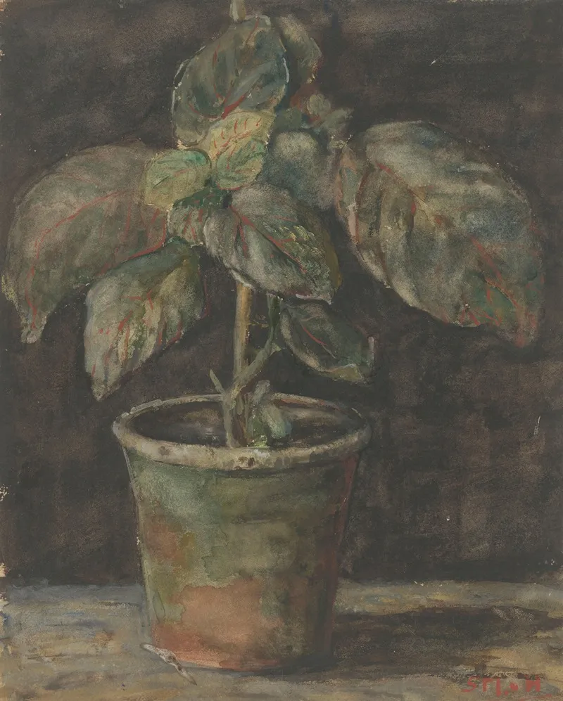 Een Potplant
