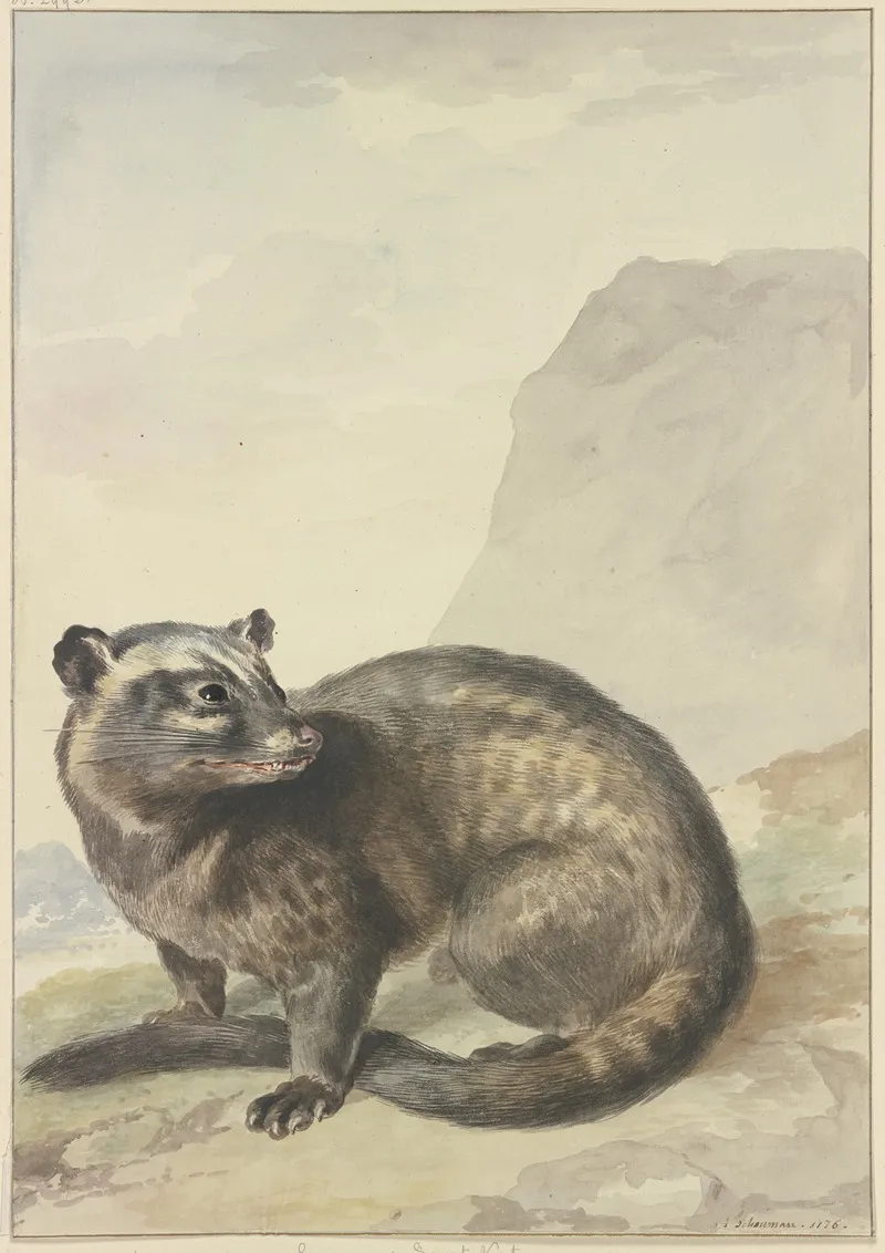 Een Vreemde Levet Kat Wall Art by Aert Schouman - High-Resolution Digital Print