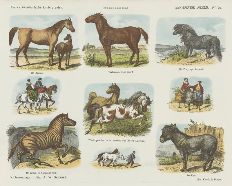 Eenhoevige Dieren