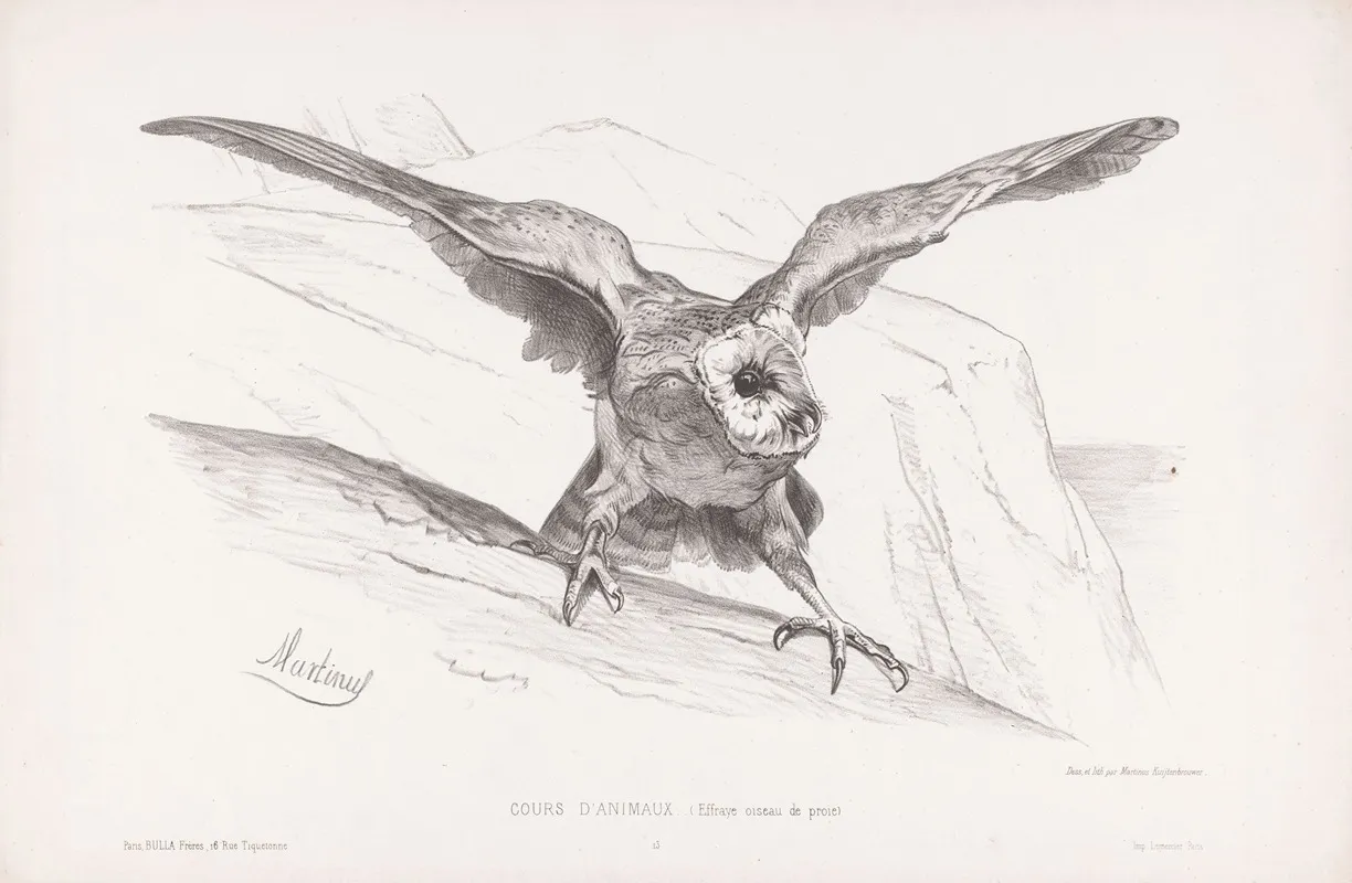 Effraye Oiseau De Proie Wall Art by Martinus Antonius Kuytenbrouwer jr. - High-Resolution Digital Print