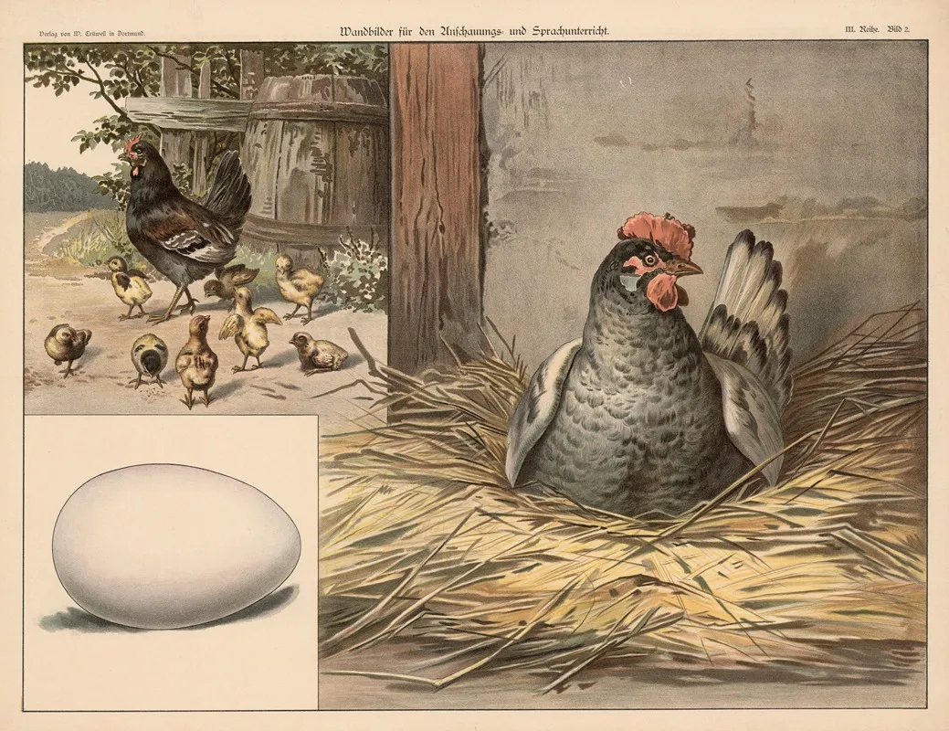 Egg Wall Art by W. Crüwell - High-Resolution Digital Print