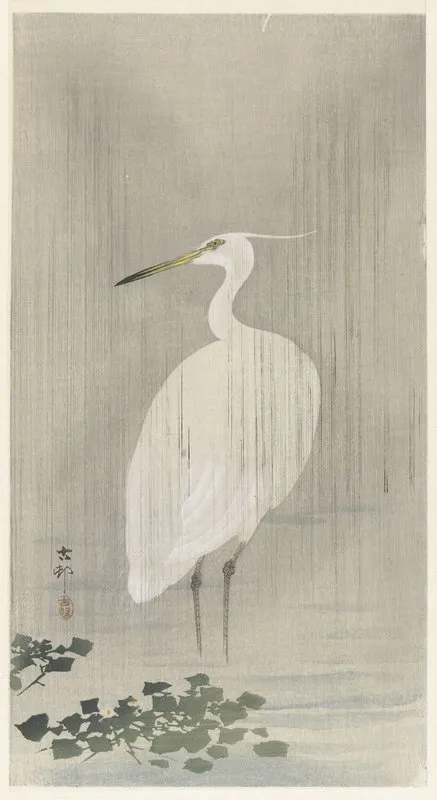 Egret In Rain
