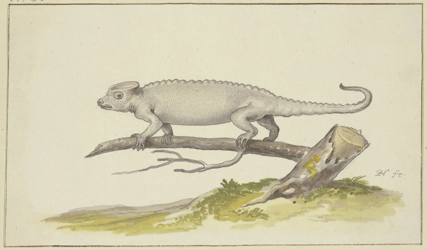 Eidechse Oder Salamander Nach Links Wall Art by Pieter Holsteijn - High-Resolution Digital Print