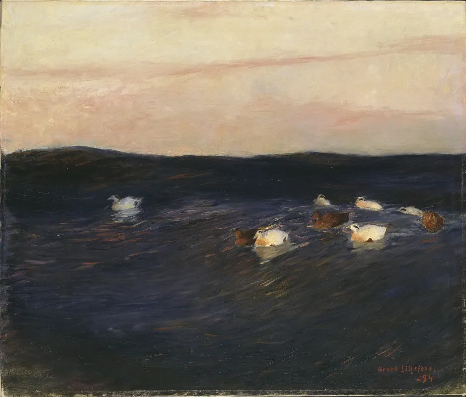 Eider Ducks