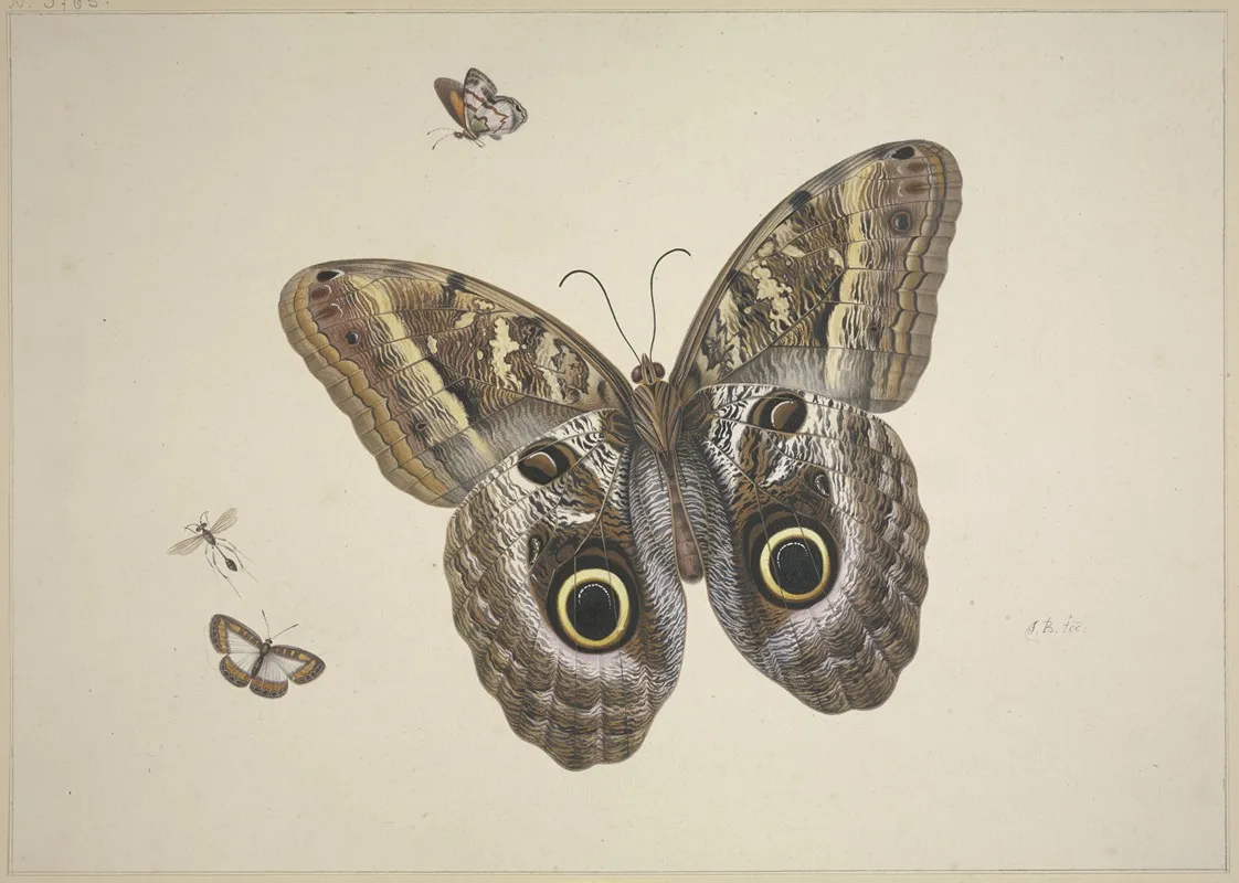 Ein Groser Brauner Schmetterling Zwei Kleine Und Ein Insekt Wall Art by Herman Henstenburgh - High-Resolution Digital Print
