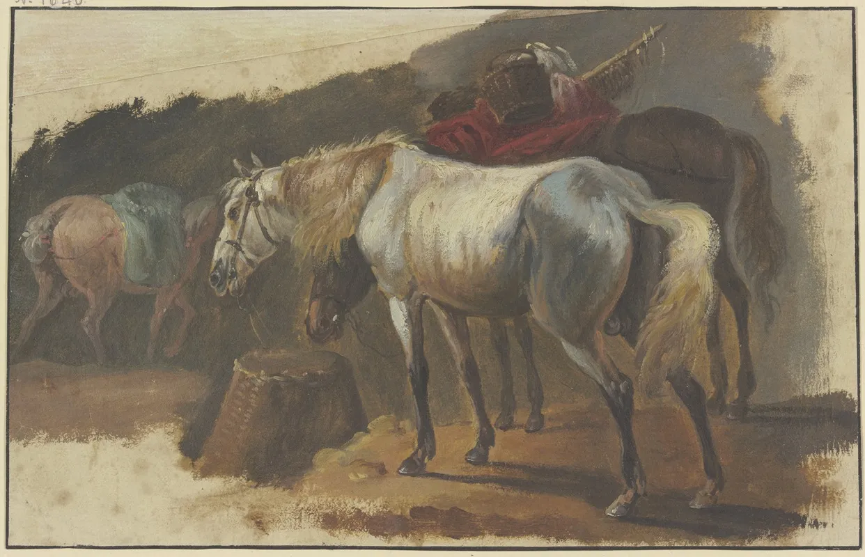 Ein Schimmel Und Ein Bepackter Brauner An Einem Korb Stehend Im Hintergrund Ein Drittes Pferd Mit Blauer Decke