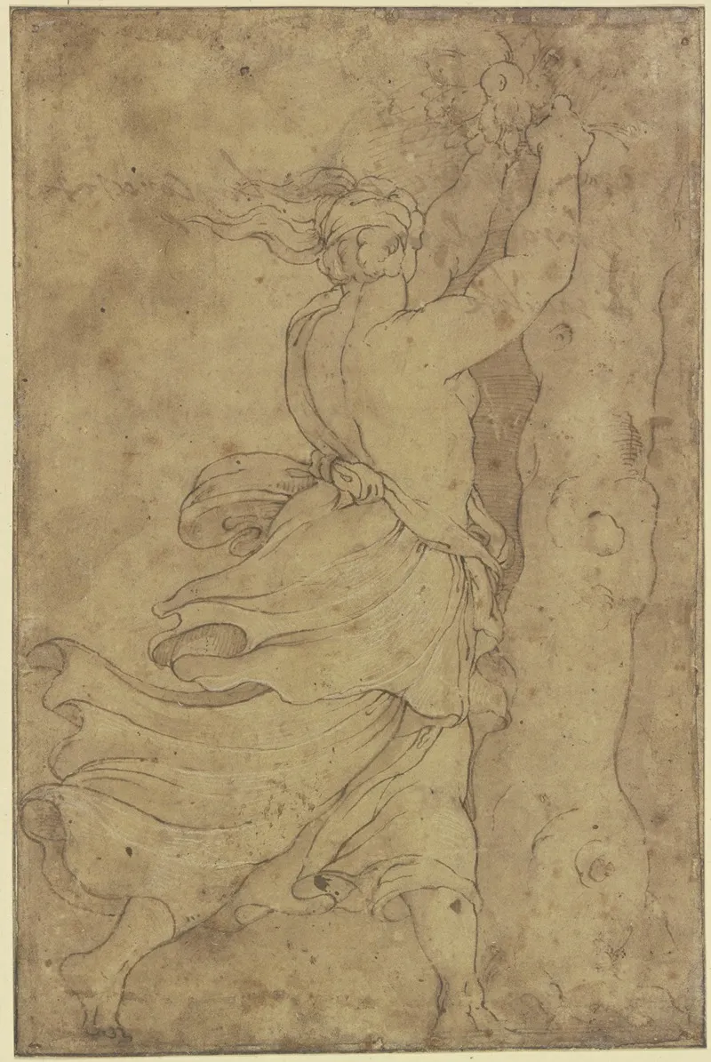 Eine Halb Entbloste Frau Pfluckt Fruchte Von Einem Baum Haar Und Gewand Fliegen Im Wind Wall Art by Polidoro da Caravaggio - High-Resolution Digital Print