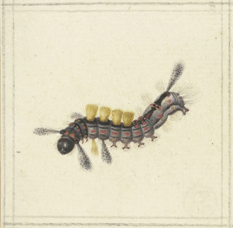 Eine Schwarze Und Rote Raupe Mit Gelben Buscheln Wall Art by Herman Henstenburgh - High-Resolution Digital Print