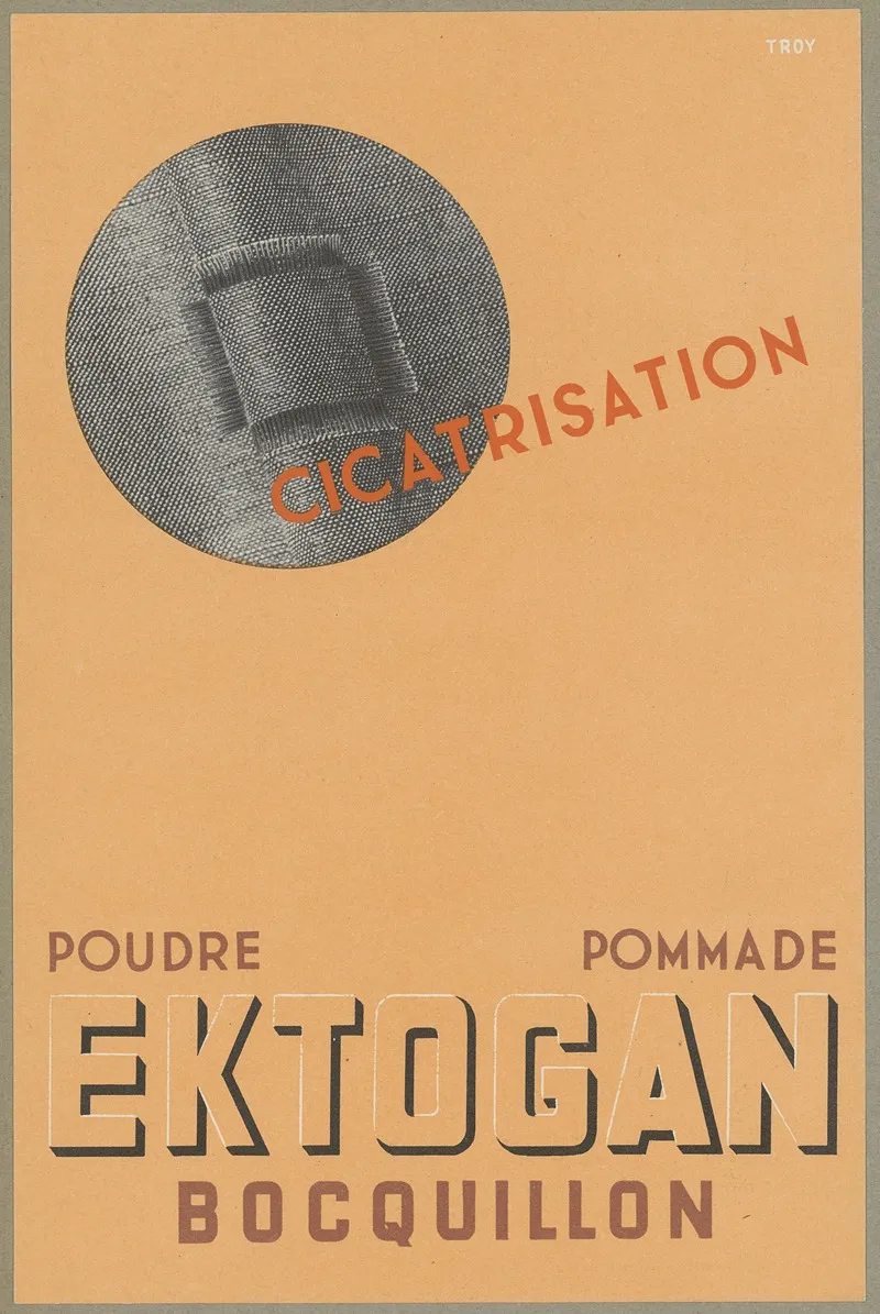 Ektogan Bocquillon 2