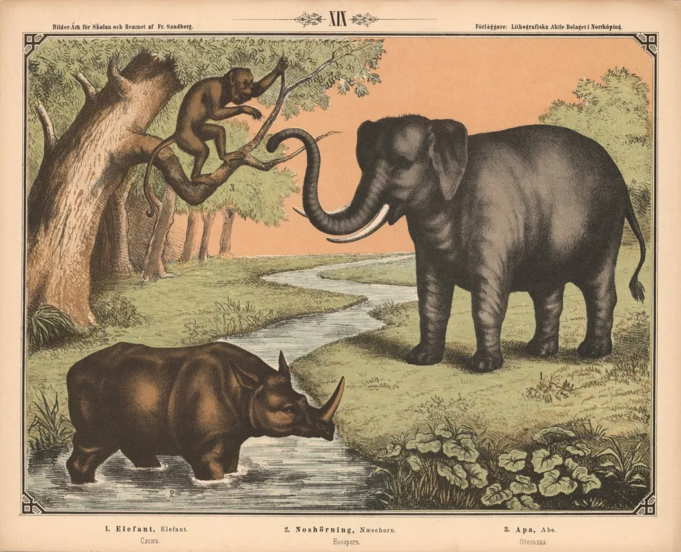 Elefant Naesehorn Og Abe Wall Art by Fredrik Sandberg - High-Resolution Digital Print