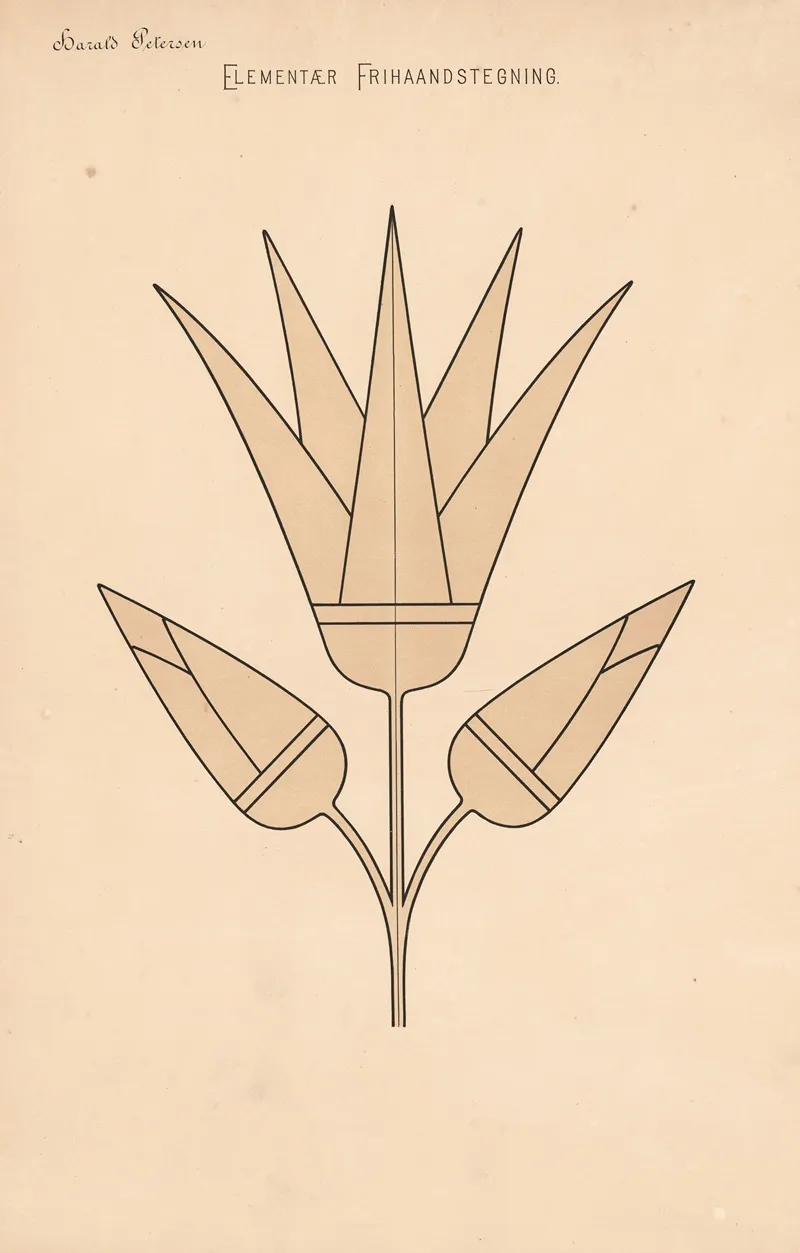 Elementary Freehand Drawing Pl 09